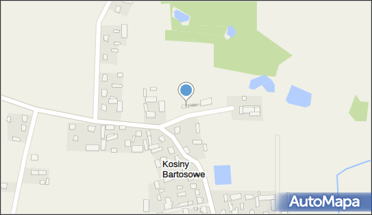 Raf-Mix Rafał Rutecki, Kosiny Bartosowe 47, Kosiny Bartosowe 06-521 - Przedsiębiorstwo, Firma