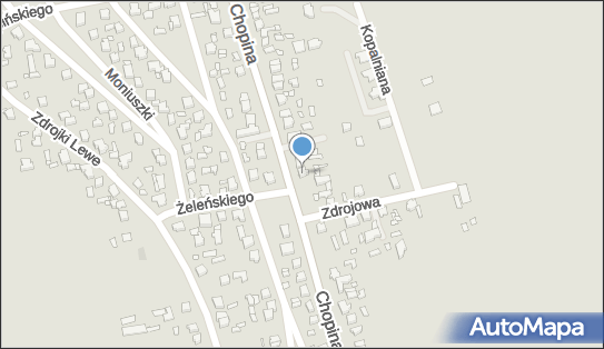Raf-Trans, ul. Fryderyka Chopina 74, Turek 62-700 - Przedsiębiorstwo, Firma, NIP: 6681937276