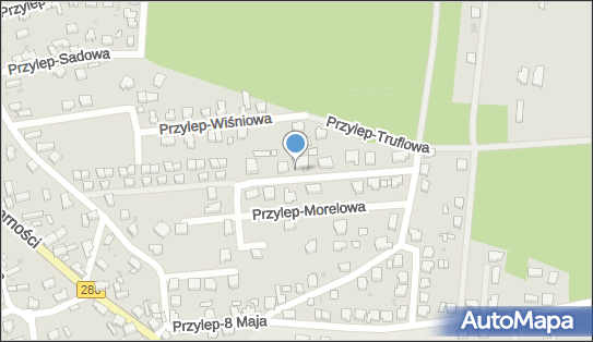 9261295430, Rafał Awiżeń 