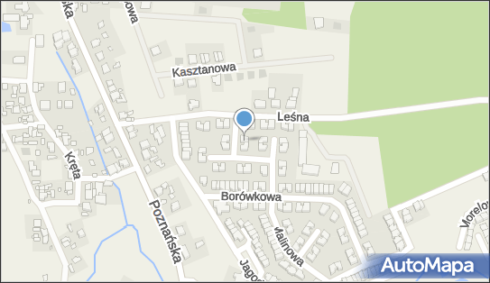 8491374842, Rafał Marchewka 