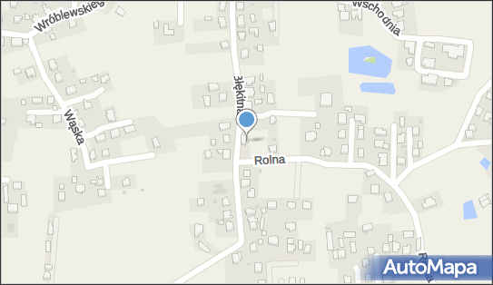 6381597534, P.P.H.U.Pro-Team Radwański Rafał 