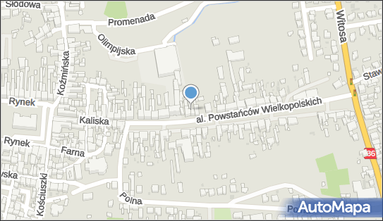 Rafał Snela Usługi Kserograficzne, al. Powstańców Wlkp. 19 63-700 - Przedsiębiorstwo, Firma, NIP: 6210008502