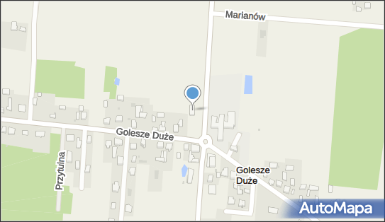 Rafał Szymański Raftimex, Golesze Duże 27, Golesze Duże 97-320 - Przedsiębiorstwo, Firma, NIP: 7732305501