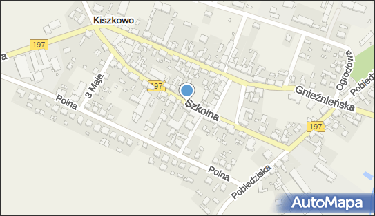 Rafał Walkowiak Usługi Transportowe, Szkolna 3, Kiszkowo 62-280 - Przedsiębiorstwo, Firma, NIP: 7841237879
