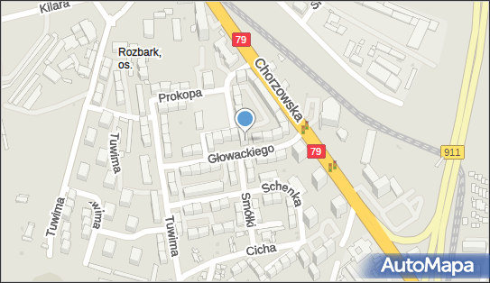 6261664742, Rafał Krakowian 
