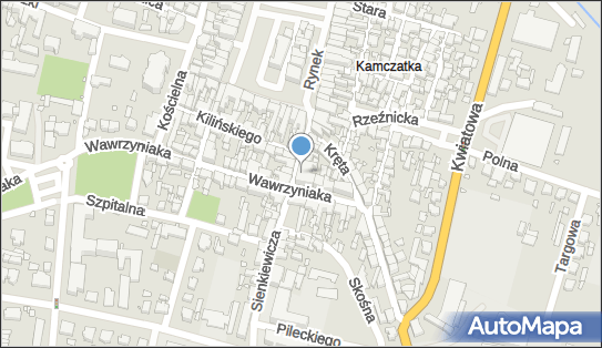 Ram-Art Oprawa Obrazów, Handel, Andrzej Kaźmierczak, Kępno 63-600 - Przedsiębiorstwo, Firma, NIP: 6191281503