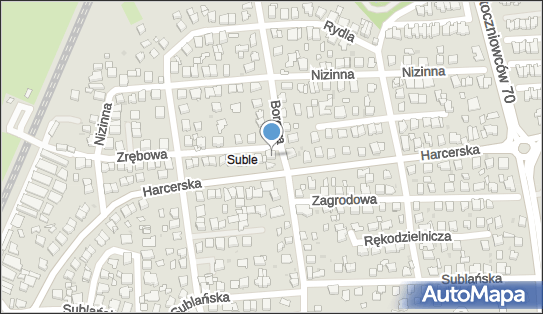 Rampex, Borowa 78, Tychy 43-100 - Przedsiębiorstwo, Firma, NIP: 6462927007