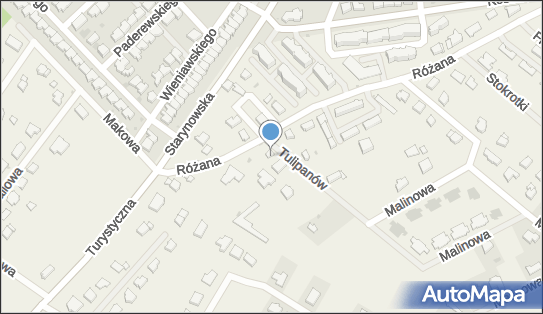 Ran Ramona Aleksiuk, Tulipanów 2, Zieleniewo 78-100 - Przedsiębiorstwo, Firma, NIP: 6711643758