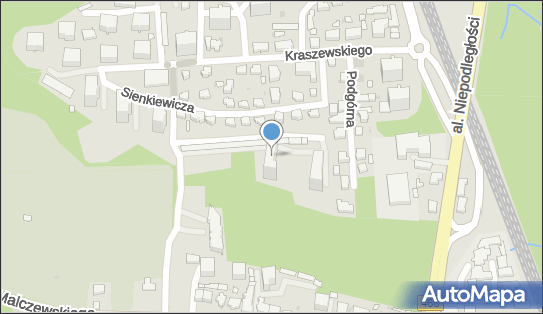 5851075294, Raporty, IT, Analizy-Andrzej Chabierski 