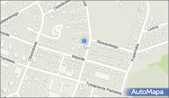Ratownictwo Medyczne, ul. Adama Mickiewicza 3, Dąbrowa Białostocka 16-200 - Przedsiębiorstwo, Firma, NIP: 5451602005