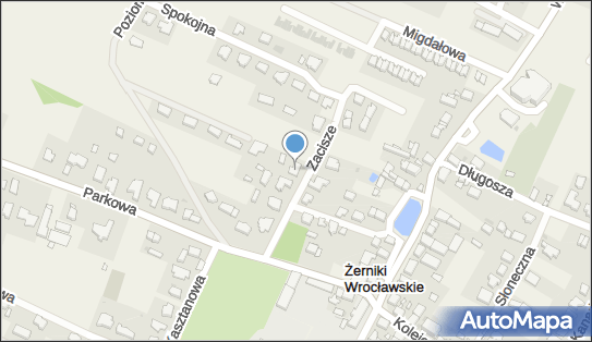 8991747482, Regina Zajączkowska 