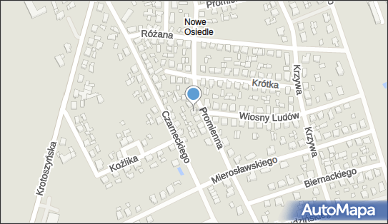 Remigiusz Glinkowski, Promienna 28, Dobrzyca 63-330 - Przedsiębiorstwo, Firma, NIP: 6080079477