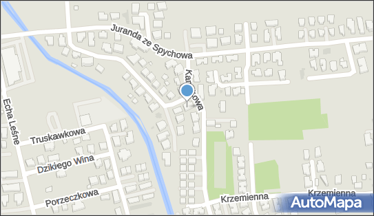 5241375744, Remik Jacek Remiszewski 