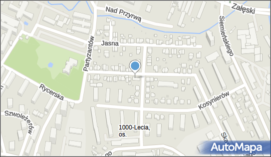 Remin, Piękna 14, Rzeszów 35-242 - Przedsiębiorstwo, Firma, numer telefonu, NIP: 8133196124