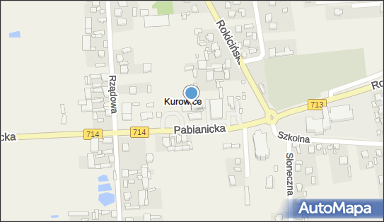 7281029943, Kwiaty, Art.Przemysłowe Renata Pach 