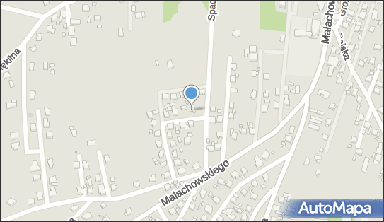 Reptile, Spacerowa 44, Rybnik 44-251 - Przedsiębiorstwo, Firma, NIP: 6423011089