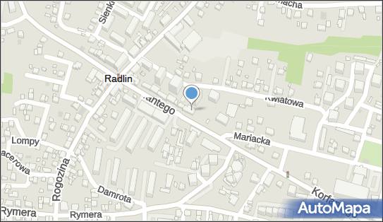Revital, ul. Wojciecha Korfantego 5B, Radlin 44-310 - Przedsiębiorstwo, Firma, NIP: 6472478315