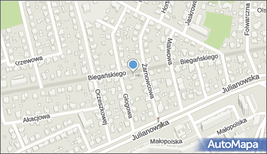 Robert Cedrowski Ro-Mip.P.H.U.Robert Cedrowski Łódź Biegańskiego Władysława DR.35 A 91-474 - Przedsiębiorstwo, Firma, NIP: 7261180424