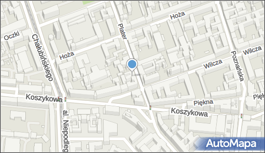 Robert Dziedziul - Działalność Gospodarcza, ul. Emilii Plater 7 00-669 - Przedsiębiorstwo, Firma, NIP: 5261702347