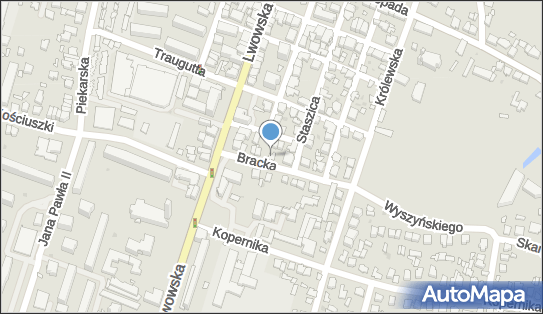 Robert Majdański - Działalność Gospodarcza, Bracka 5 22-600 - Przedsiębiorstwo, Firma, NIP: 9211302524