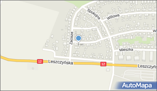 6961029261, Przedsiębiorstwo Usługowe 