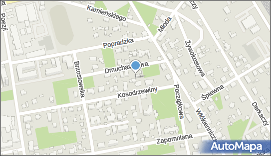 Robert Zalewski, Dmuchawcowa 10, Warszawa 04-979 - Przedsiębiorstwo, Firma, NIP: 9521833196