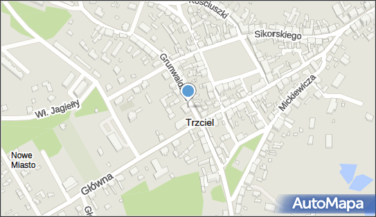 210133276, Roboty Budowlano-Utrzymaniowe Waldemar Lemańczyk 66-320 Trzciel ul.Grunwaldzka 26 