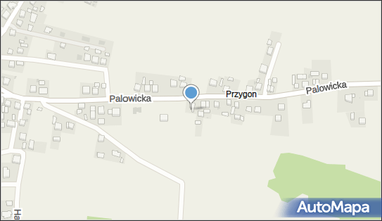 6772199648, Kamila Rojek 