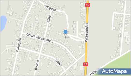 Roland Tomasz Krzyżaniak, Dzieci Wrzesińskich 14a, Gniezno 62-200 - Przedsiębiorstwo, Firma, NIP: 7841749823