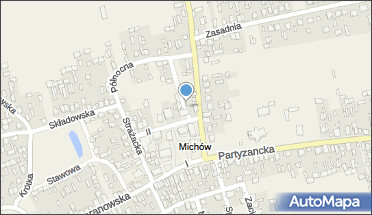 Rolnicza Spółdzielnia Produkcyjna, Michów, Michów 21-140 - Przedsiębiorstwo, Firma, numer telefonu, NIP: 7140002066
