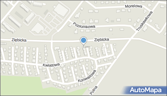 Roman Barylak, Mieczykowa 7, Ząbkowice Śląskie 57-200 - Przedsiębiorstwo, Firma, numer telefonu, NIP: 8871286038
