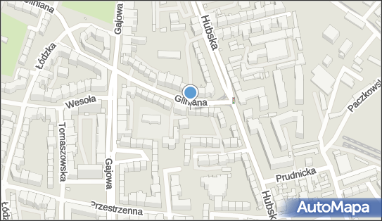 8992394229, Roman Michowski PI-Roman 