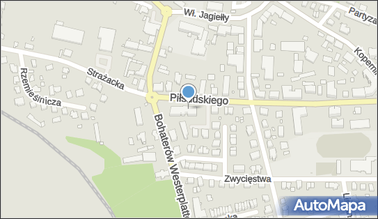 Romeks, ul. Józefa Piłsudskiego 16 C, Pasłęk 14-400 - Przedsiębiorstwo, Firma, numer telefonu, NIP: 5781907096