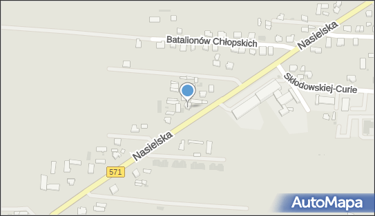 Romex Roman Gołębiewski, Nasielska 40, Pułtusk 06-100 - Przedsiębiorstwo, Firma, NIP: 5681372276