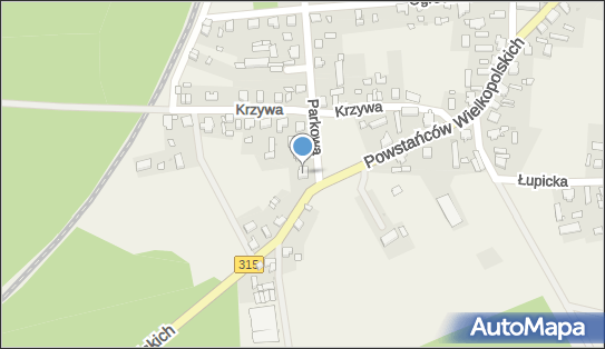 Rosa Anita Siczyńska, Parkowa 6, Świętno 64-224 - Przedsiębiorstwo, Firma, NIP: 9231173403