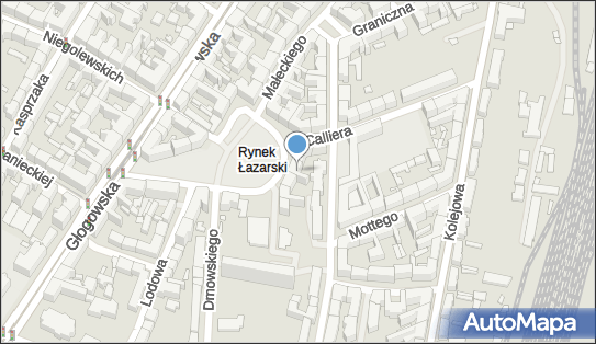 Royal Centrów Szkoleń Języków Obcych, rynek Łazarski 10A 60-732 - Przedsiębiorstwo, Firma, NIP: 7771669696