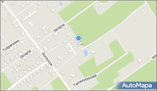 RT Trans, Borsucza 6, Szczecin 70-887 - Przedsiębiorstwo, Firma, numer telefonu, NIP: 9550002345