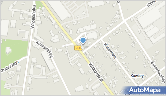 Ruch Kiosk, Witkowska 13, Gniezno 62-200 - Przedsiębiorstwo, Firma, NIP: 7841029052
