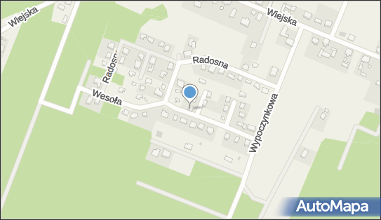 Rusinow, Wesoła 34, Stęszewko 62-010 - Przedsiębiorstwo, Firma, NIP: 7781437869