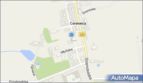 Rybak Tomasz, Przewoźnego Jakuba, ks. 9, Cerekwica 62-090 - Przedsiębiorstwo, Firma, NIP: 7811954033