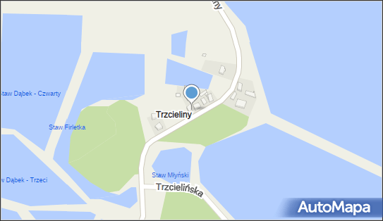 Rybex, Trzcieliny 1, Trzcieliny 63-421 - Przedsiębiorstwo, Firma, NIP: 6221676271