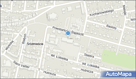 6421012848, Rybnicki Młodzieżowy Klub Sportowy w Rybniku 