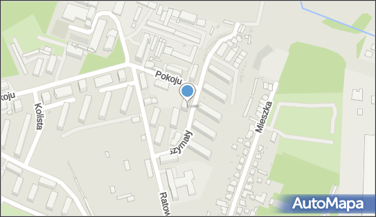 6411097814, Ryszard Bury 