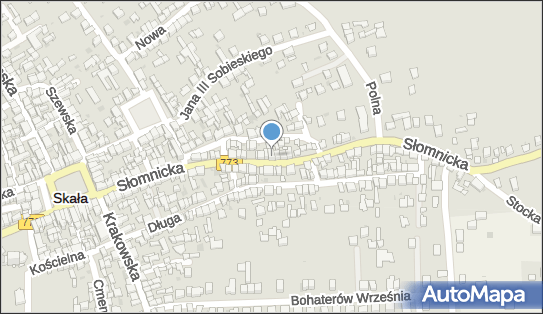 6771937802, Ryszard Srebnicki Firma Handlowo - Usługowa 