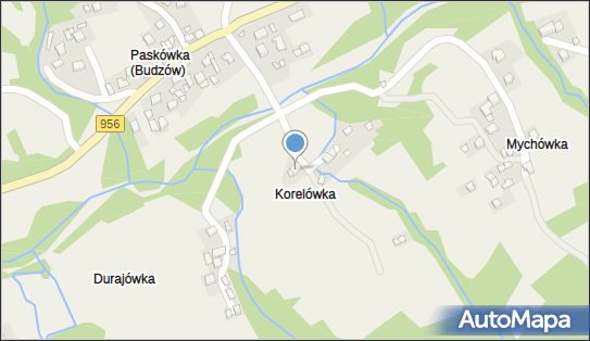 Ryszawy Barbara Anna Ryszawy Barbara, Budzów 40, Budzów 34-211 - Przedsiębiorstwo, Firma, NIP: 5521122441