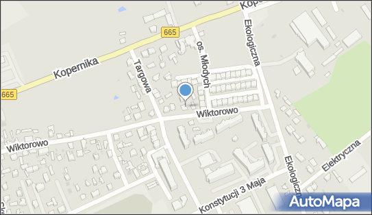 Ryta Skrajnowska Bar Gastronomiczny, Wiktorowo 34, Grajewo 19-200 - Przedsiębiorstwo, Firma, NIP: 7191169362