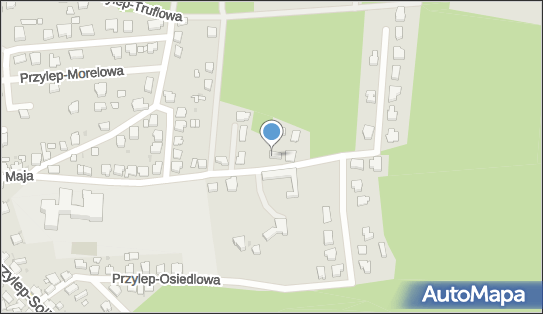 9291621733, Rzeczoznawstwo i Usługi Ubezpieczeniowe Dawid Gieburowski 
