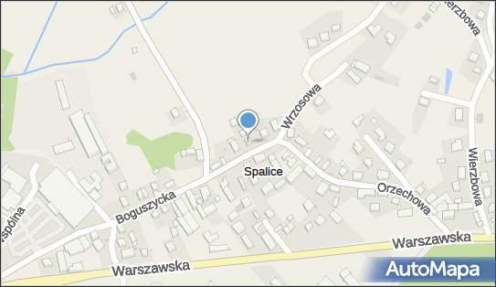 9111051519, Rzeźbiarstwo w Drewnie Dziemieszonek Jan 