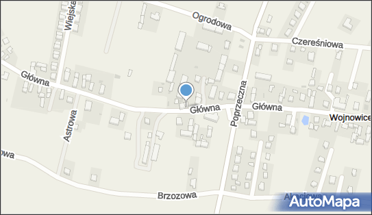 S-Dom Damian Strzelecki, Główna 19A, Wojnowice 55-003 - Przedsiębiorstwo, Firma, NIP: 8961469587