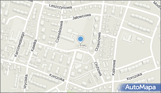 278295557, S.Rabiej, K.Tłuczyński 